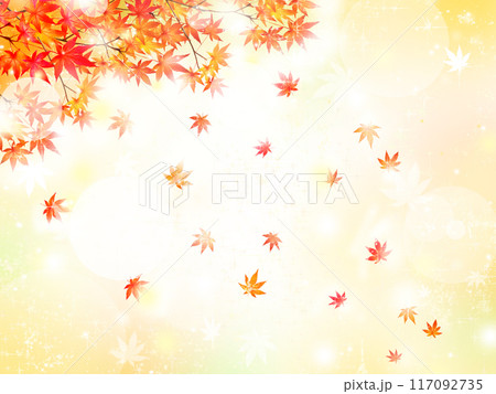 キラキラ輝く美しい紅葉の葉のオシャレなベクターの光の差し込むピンボケの背景素材フレーム 117092735