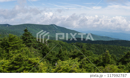 苔の森にある高見石からの絶景【北八ヶ岳の八千穂高原】長野県 117092787