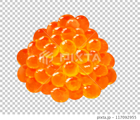 いくらの水彩画風ベクターイラスト いくらの水彩画風ベクターイラスト 117092955