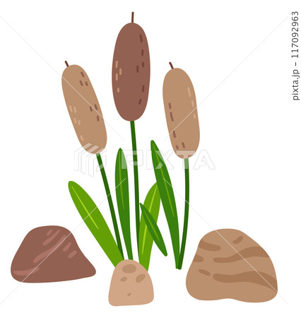 Swamp reeds. Green wetland plants color icon 117092963