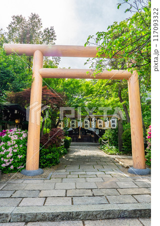 大阪市天王寺区茶臼山町　堀越神社（四天王寺七宮）　鳥居 117093322