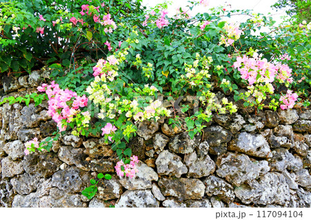 初冬の竹富島 117094104