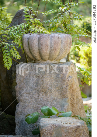 苔を落としてきれいになった手水鉢 117094292