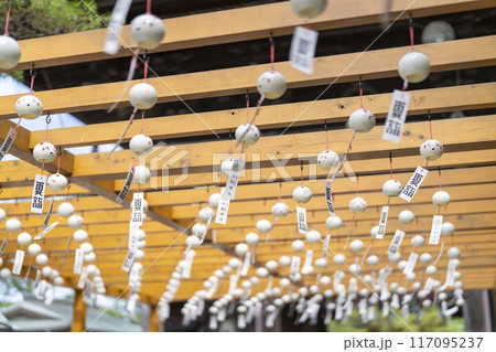 夏の竹駒神社 参道 夏詣 宮城県岩沼市 夏の竹駒神社 参道 夏詣 宮城県岩沼市 117095237