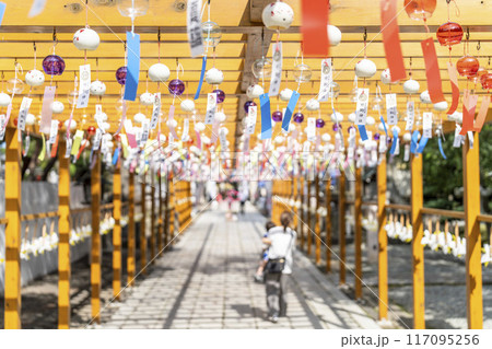 夏の竹駒神社　参道　夏詣　宮城県岩沼市 117095256