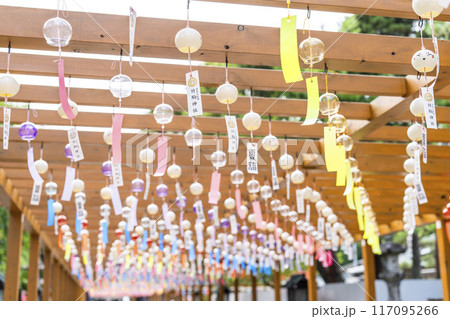 夏の竹駒神社　参道　夏詣　宮城県岩沼市 117095266