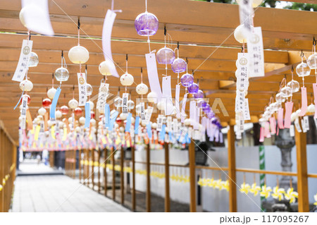 夏の竹駒神社　参道　夏詣　宮城県岩沼市 117095267