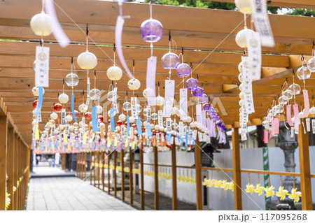 夏の竹駒神社 参道 夏詣 宮城県岩沼市 夏の竹駒神社 参道 夏詣 宮城県岩沼市 117095268
