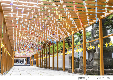 夏の竹駒神社　参道　夏詣　宮城県岩沼市 117095270