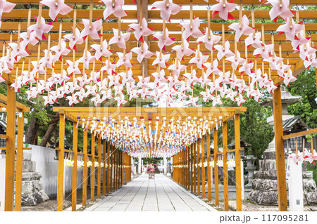 夏の竹駒神社 参道 夏詣 宮城県岩沼市 夏の竹駒神社 参道 夏詣 宮城県岩沼市 117095281