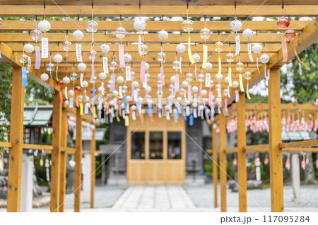 夏の竹駒神社 参道 夏詣 宮城県岩沼市 夏の竹駒神社 参道 夏詣 宮城県岩沼市 117095284