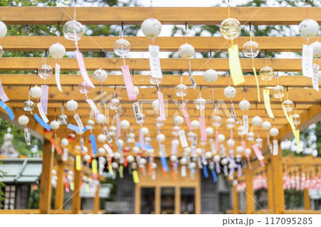 夏の竹駒神社 参道 夏詣 宮城県岩沼市 夏の竹駒神社 参道 夏詣 宮城県岩沼市 117095285