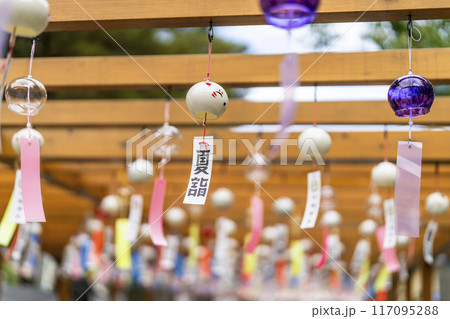 夏の竹駒神社　参道　夏詣　宮城県岩沼市 117095288