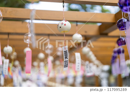 夏の竹駒神社　参道　夏詣　宮城県岩沼市 117095289