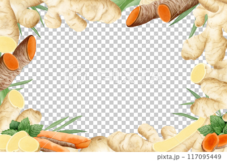 Ginger and Turmeric roots horizontal frame banner illustration isolated on white background for label designs. Raw spicy vegetable template with copy space Ginger and Turmeric roots horizontal frame banner illustration isolated on white background for label designs. Raw spicy vegetable template with copy space 117095449