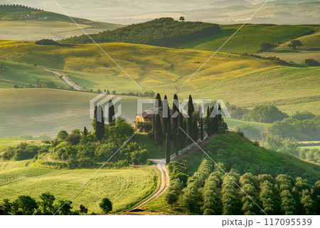 Val d'Orcia, Tuscany. Podere in San Quirico d'Orcia, beautiful spring tuscan landscape in Italy. 117095539