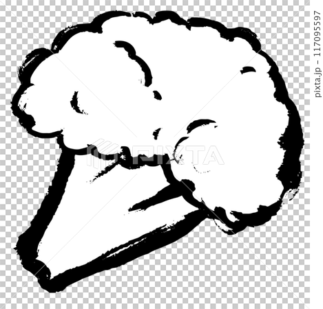 筆タッチのブロッコリーのモノクロ線画イラスト 117095597