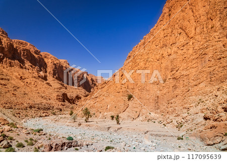 Todgha Gorge, Morocco. Limestone river canyons, or wadi, in the eastern part of the High Atlas Mountains. 117095639