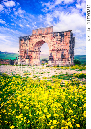 Volubilis, Morocco. Ancient city, Roman Empire province of Mauretania. 117095816