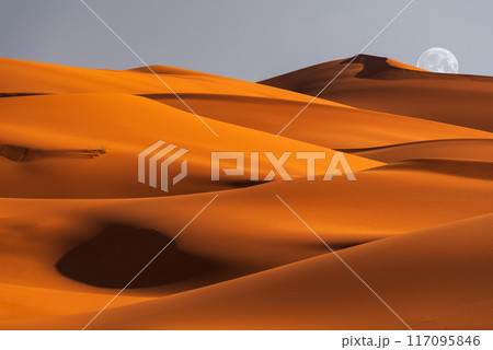 Merzouga, Morocco. Sand dunes in the Sahara Desert, North Africa - Erg Chebbi dunes. 117095846