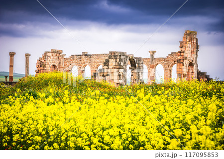 Volubilis, Morocco. Ancient city, Roman Empire province of Mauretania. 117095853