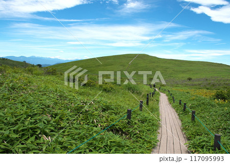霧ケ峰高原に続く木道の登山道 117095993