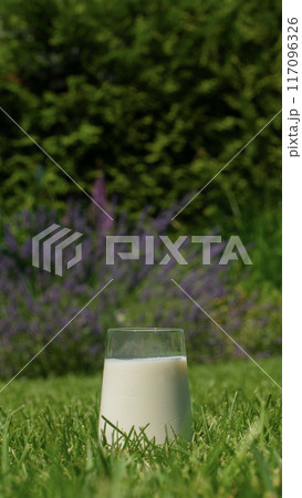 A glass of milk standing on a green lawn in the backyard. A glass of milk standing on a green lawn in the backyard. 117096326