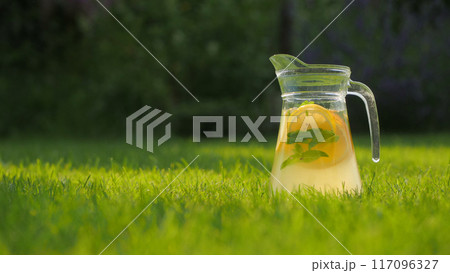 A pitcher of lemon and mint-infused water on a lush green lawn in the backyard. 117096327