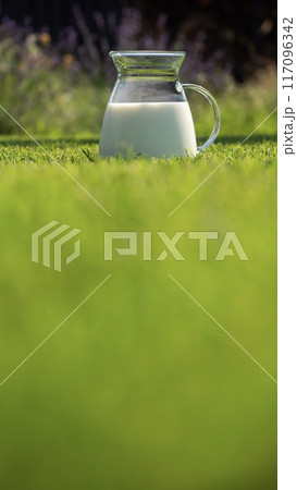 Pitcher of fresh milk on lush green grass in a garden Pitcher of fresh milk on lush green grass in a garden 117096342
