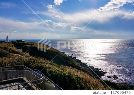 城ヶ島からの海景　城ヶ島公園（神奈川県三浦市） 117096479