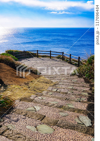 城ヶ島からの海景　城ヶ島公園（神奈川県三浦市） 117096484