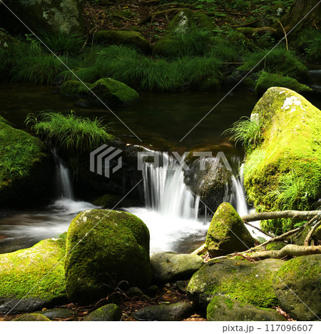 夏の渓流 117096607