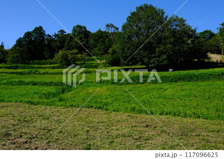 寒風古窯跡群　夏の風景　岡山県瀬戸内市 117096625