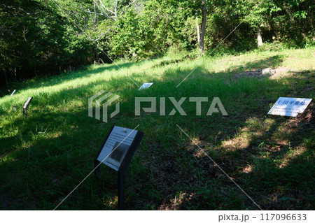 寒風古窯跡群　1号窯跡群1　岡山県瀬戸内市 117096633