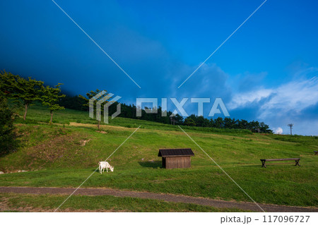 日本の鳥取県の大山の美しい風景 117096727