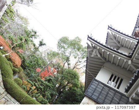 城 117097397