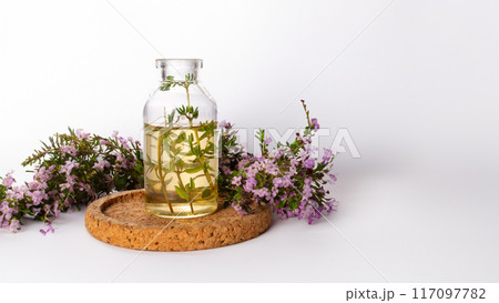 Fresh thyme and essential oil isolated on the white background. Hair treatment concept. Close up. Copy space Fresh thyme and essential oil isolated on the white background. Hair treatment concept. Close up. Copy space 117097782