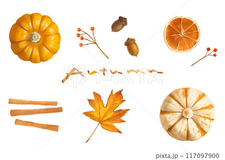 カボチャや紅葉シナモンドライフルーツなど秋のイメージのベクター背景イラストセット カボチャや紅葉シナモンドライフルーツなど秋のイメージのベクター背景イラストセット 117097900