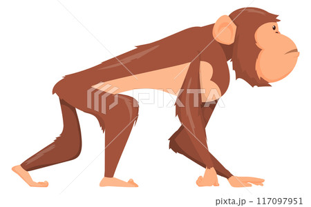 Monkey side view. Wild primate color icon Monkey side view. Wild primate color icon 117097951