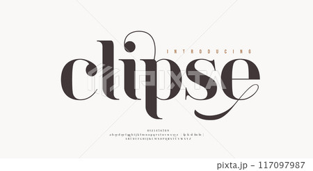 Elegant alphabet letters font logo. Typography luxury classic lettering serif italic fonts decorative wedding vintage retro logos. vector illustration 117097987