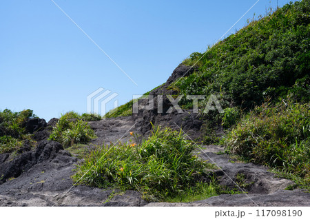 神奈川県城ヶ島 海岸の歩道の風景 117098190