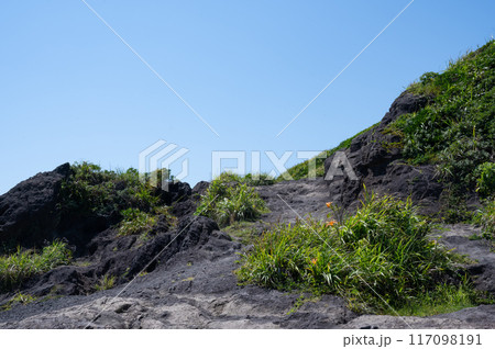 神奈川県城ヶ島 海岸の歩道の風景 神奈川県城ヶ島 海岸の歩道の風景 117098191