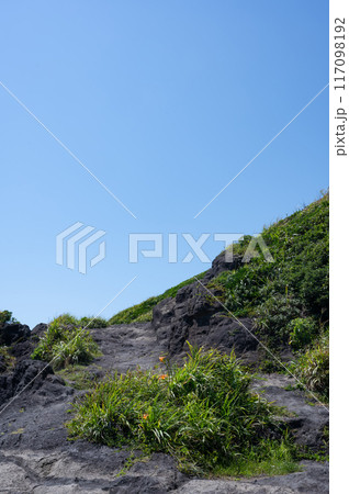 神奈川県城ヶ島 海岸の歩道の風景 神奈川県城ヶ島 海岸の歩道の風景 117098192