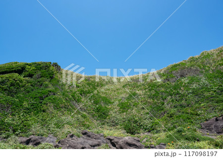 神奈川県城ヶ島の風景 神奈川県城ヶ島の風景 117098197