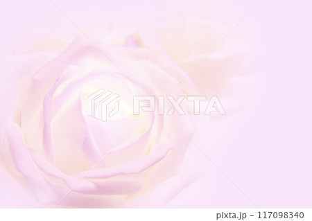 ピンク系の薔薇 ピンク系の薔薇 117098340