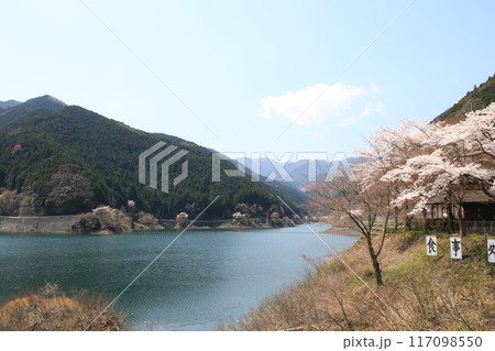 埼玉県飯能市の有間ダムと名栗湖の風景 埼玉県飯能市の有間ダムと名栗湖の風景 117098550