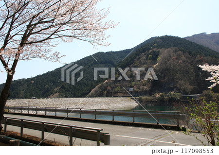 埼玉県飯能市の有間ダムと名栗湖の風景 117098553