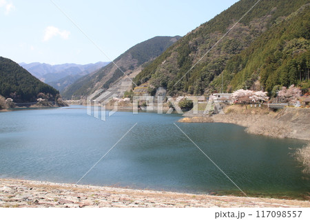 埼玉県飯能市の有間ダムと名栗湖の風景 117098557