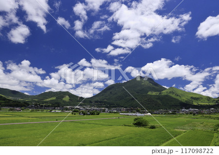 夏の由布院 117098722