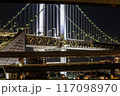ライトアップされたレインボーブリッジ 117098970